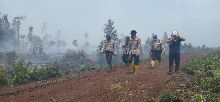 Api Kembali Muncul Dekat Tesso Nilo